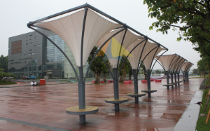 Landscape renovation of Guangzhou science city green axis membrane structure